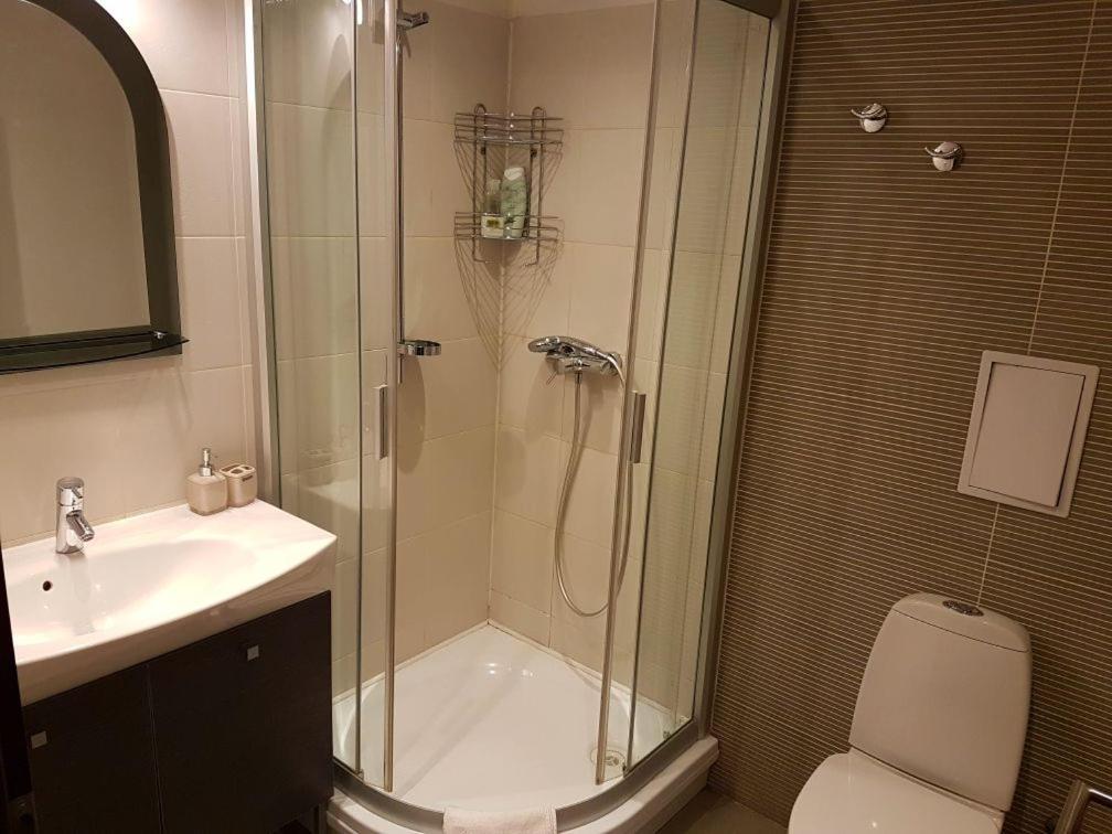Appartement Gyneju 14 à VNO Extérieur photo